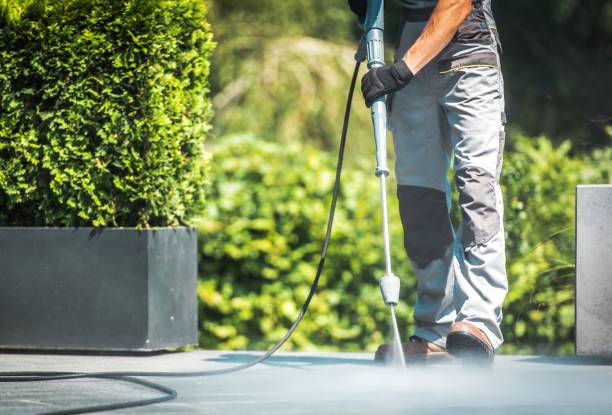 Best Fence Cleaning  in Blountstown, FL